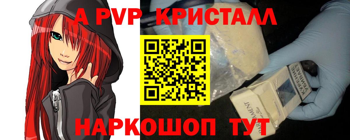 A PVP СК КРИС Ржев