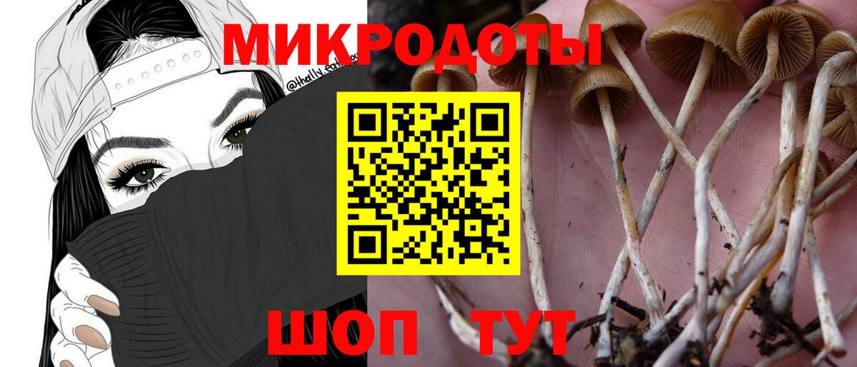 Псилоцибиновые грибы ЛСД  Вход с VPN  Ржев  Галлюциногенные грибы прущие грибы 