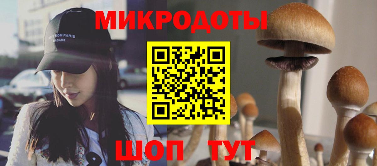 Псилоцибиновые грибы Psilocybe Ржев
